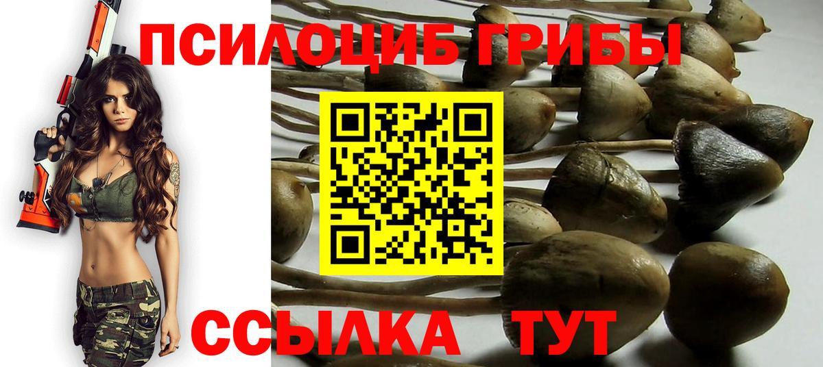 Ноябрьск  Галлюциногенные грибы мухоморы  Вход с VPN 